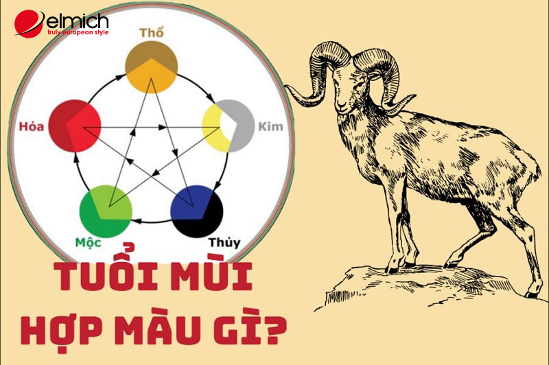 Hình 3: Tuổi Mùi hợp màu gì?