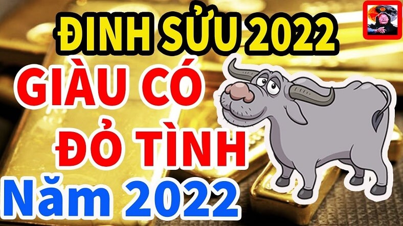 Tình duyên Đinh Sửu 1997 năm 2022