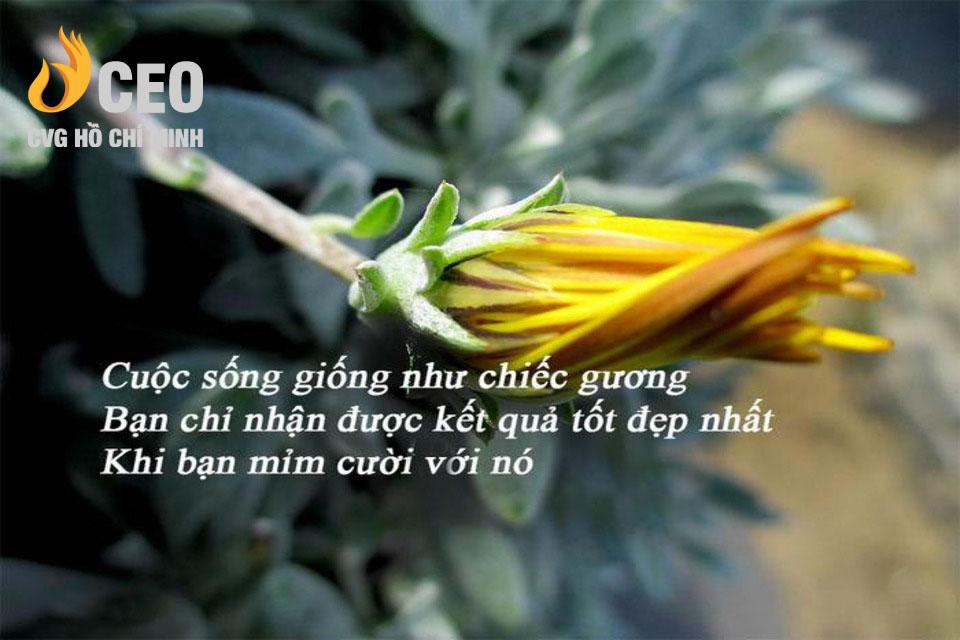 hình ảnh đẹp ý nghĩa về cuộc sống