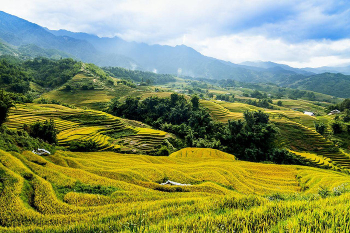 Khung cảnh kỳ vĩ của ruộng bậc thang Y Tý