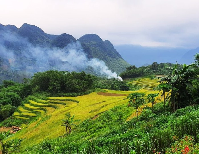 khung cảnh kỳ vĩ của ruộng bậc thang pù luông