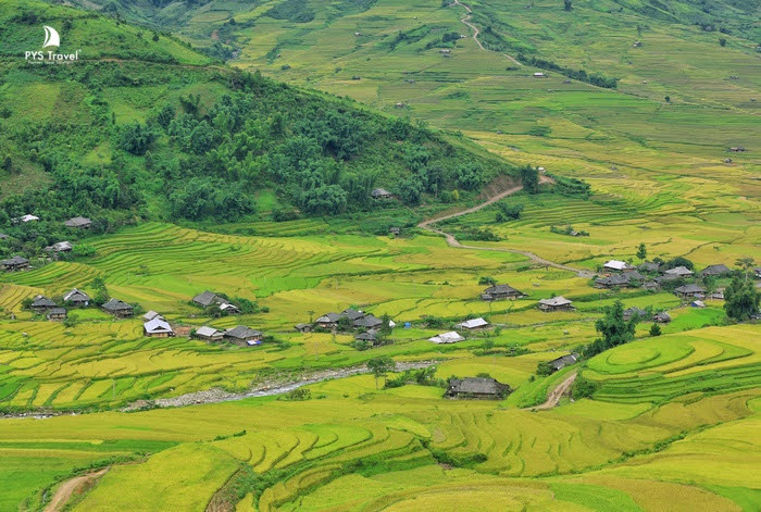 ruộng bậc thang Mù Cang Chải