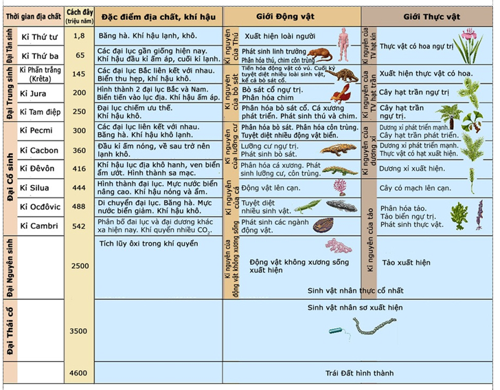 sự phát triển của sinh giới qua các đại địa chất trắc nghiệm - Sinh vật