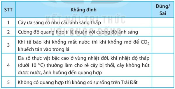 SBT Khoa học tự nhiên 7 Bài 23: Một số yếu tố ảnh hưởng đến quang hợp - Kết nối tri thức (ảnh 1)