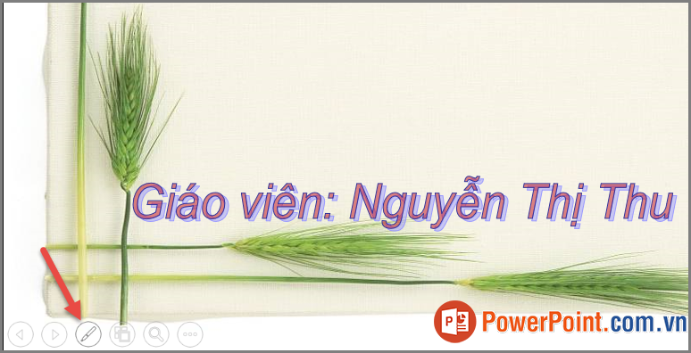 Công cụ hỗ trợ trình chiếu