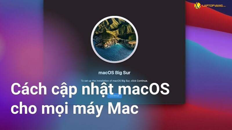 cập nhật macbook