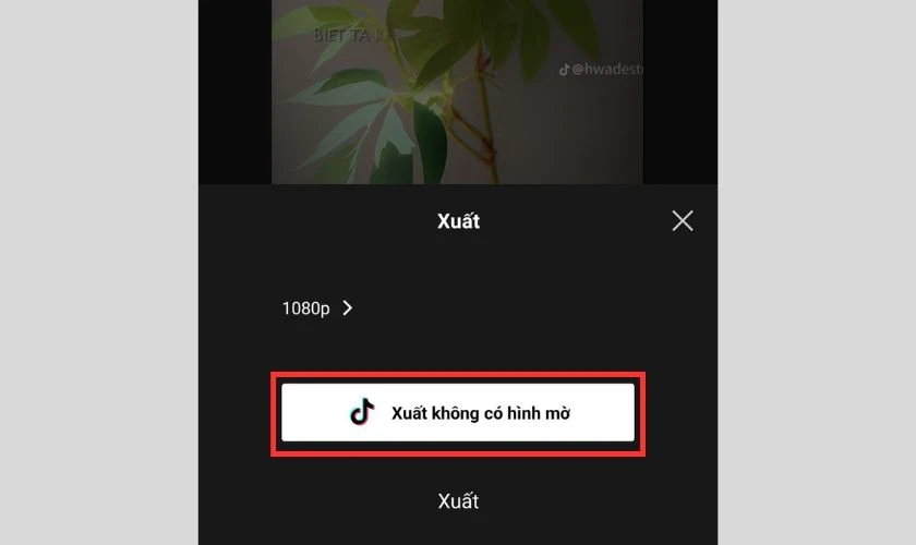 tải video capcut không dính logo