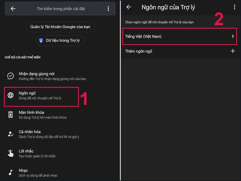 Chọn Tiếng Việt để tiện trình bày với Google Assistant