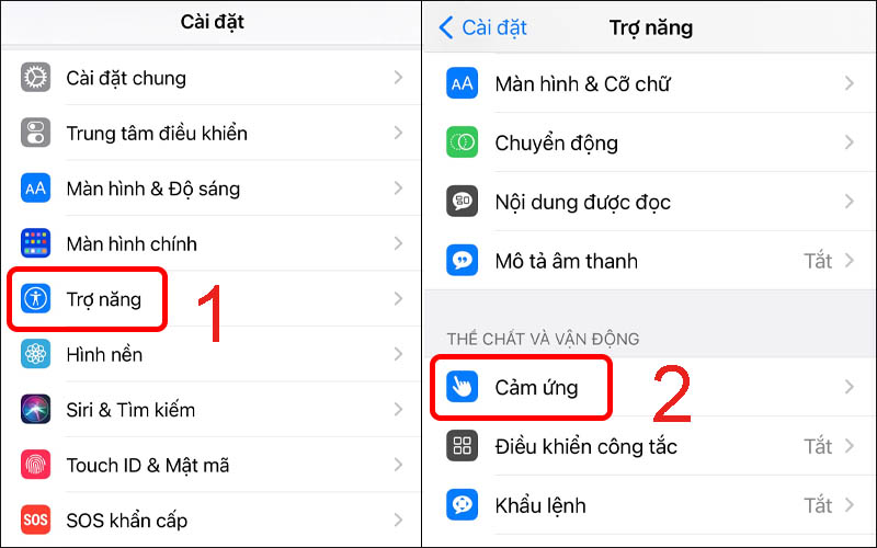 Chọn mục Cảm ứng phần Trợ năng