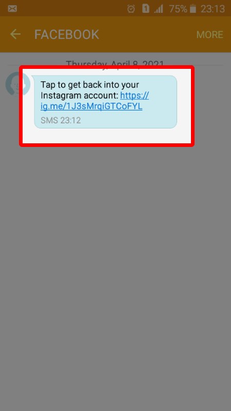 Nhấp vào Reset your Instagram Password trong email