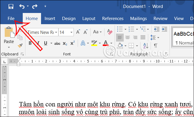 Truy cập Proofing Word 2009