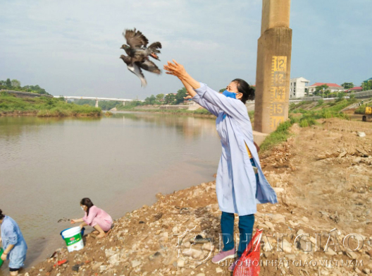 Ý nghĩa phóng sinh là ở nơi động cơ của phóng sinh mong muốn kéo dài thọ mạng của sinh vật.