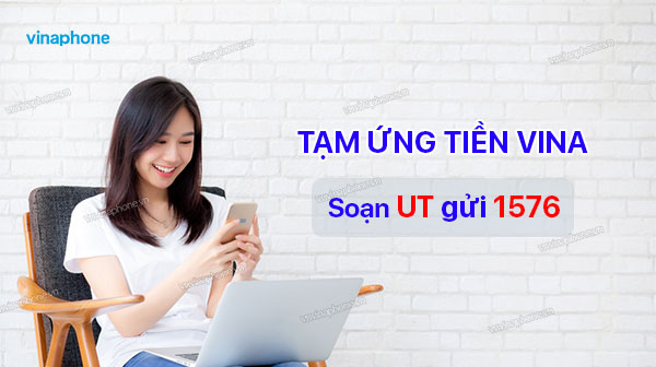 Tạm ứng tiền Vina