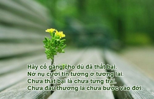 Những câu nói hay về công việc của các vĩ nhân