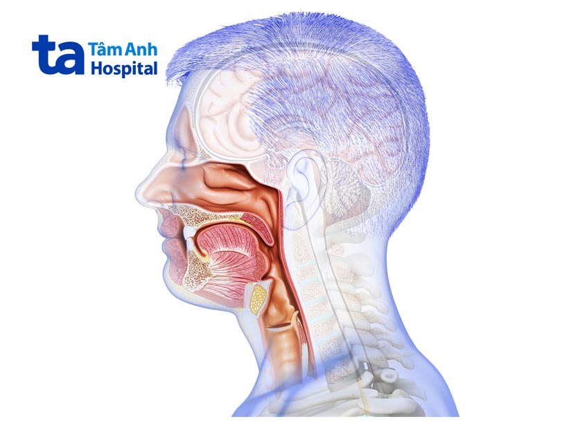 ung thư miệng là ung thư phát triển trong các mô ở vùng miệng