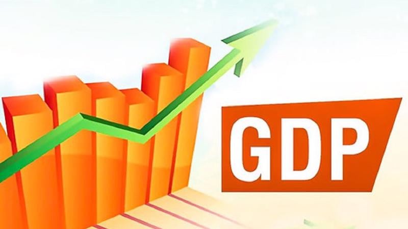 Các nước đang phát triển có đặc điểm là GDP bình quân đầu người thấp do nông nghiệp là nguồn thu nhập chủ yếu 