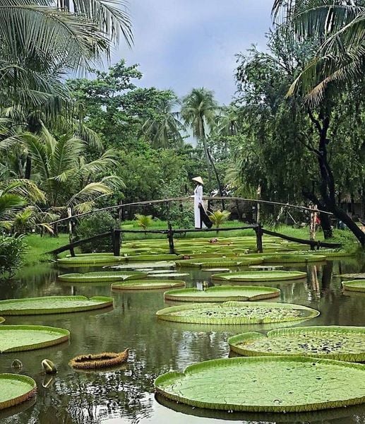 Top 9 địa điểm du lịch miền Nam nhất định nên đi một lần