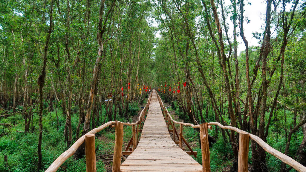 [2021] Top 12 Địa điểm Ăn chơi, Du lịch khi đến Long Xuyên | An Giang