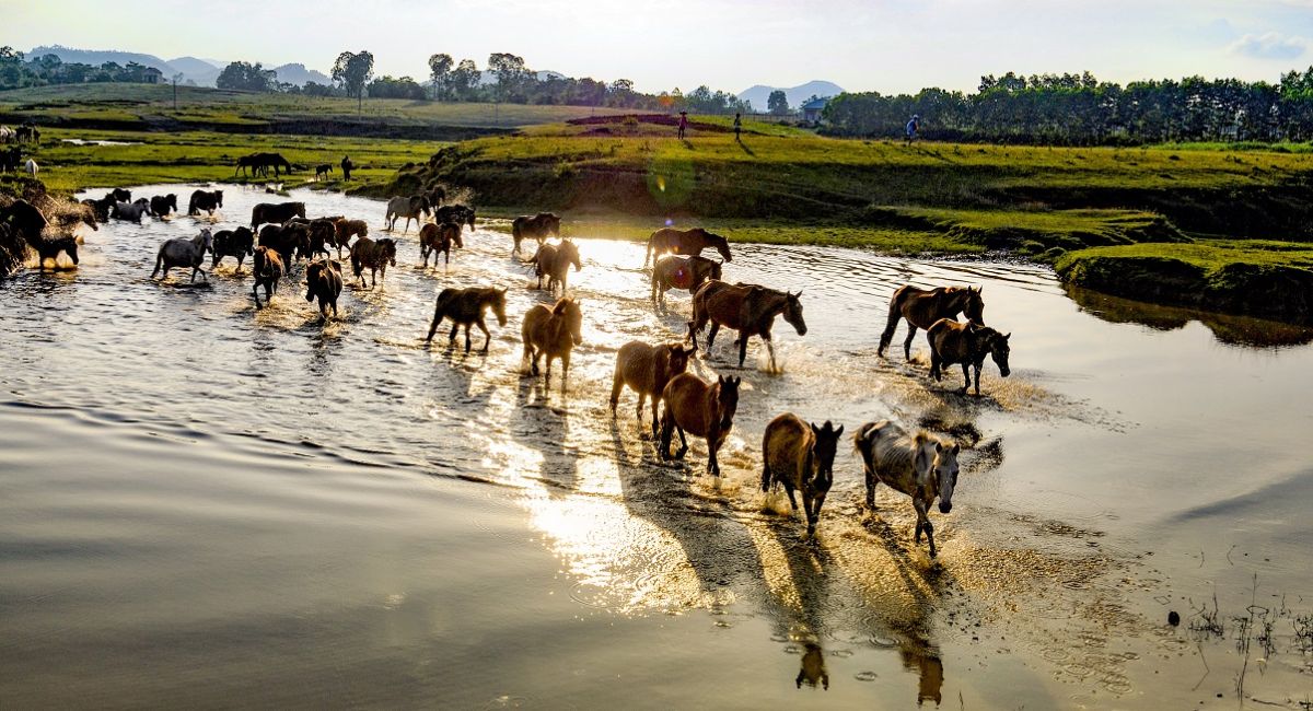 Địa điểm du lịch Thái Nguyên