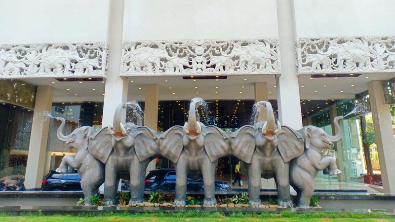 elephant1