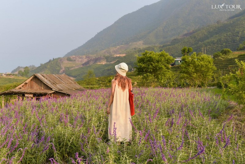 Trang phục ban ngày