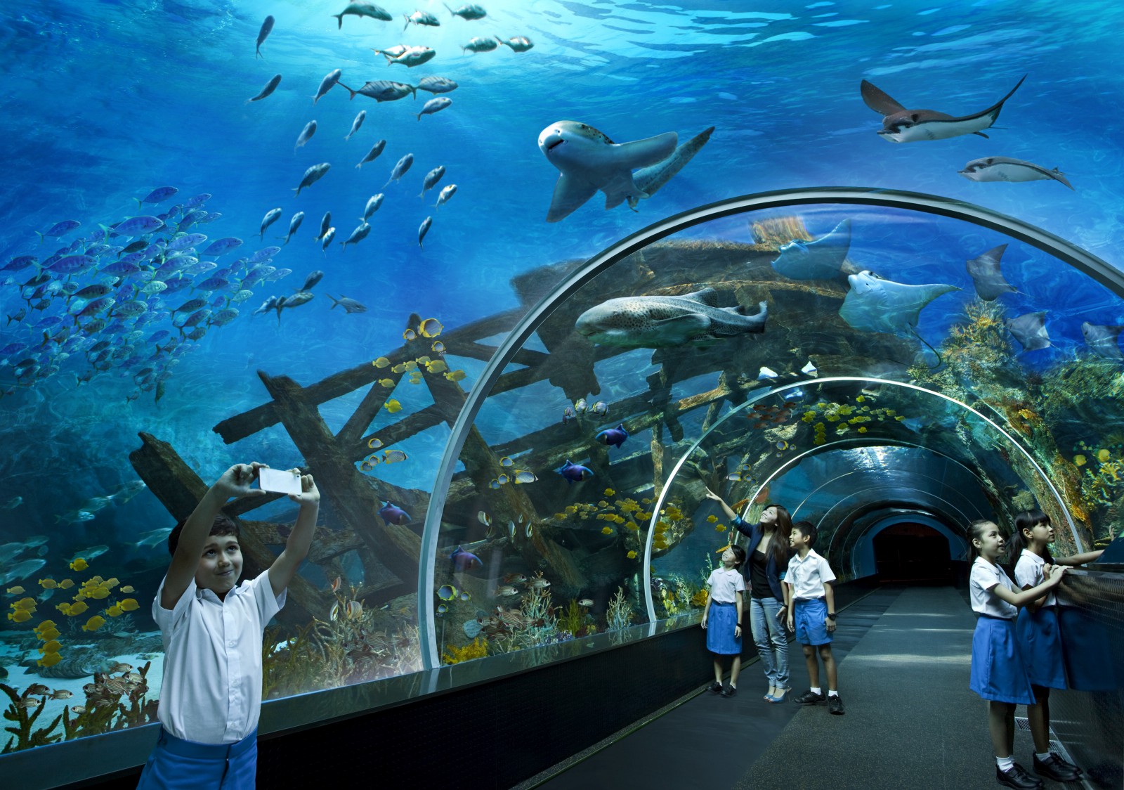 Tour Singapore - Sea Aquarium