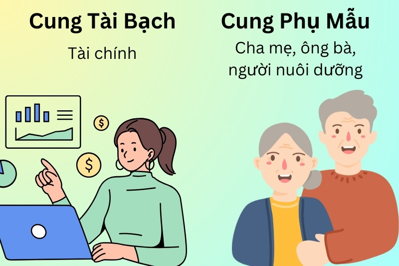 Cung Tài Bạch và Phụ Mẫu