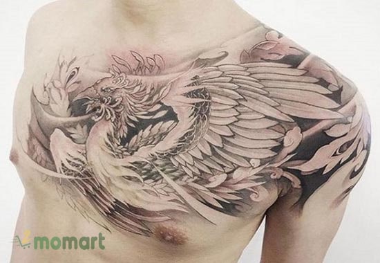 Tattoo phượng hoàng trên ngực các bạn nam đầy rực rỡ