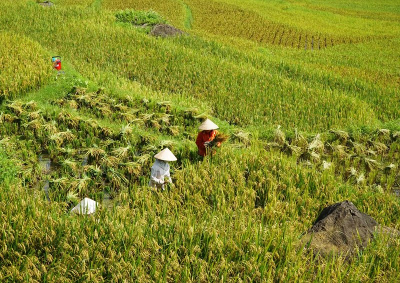 Bản Lác Mai Châu