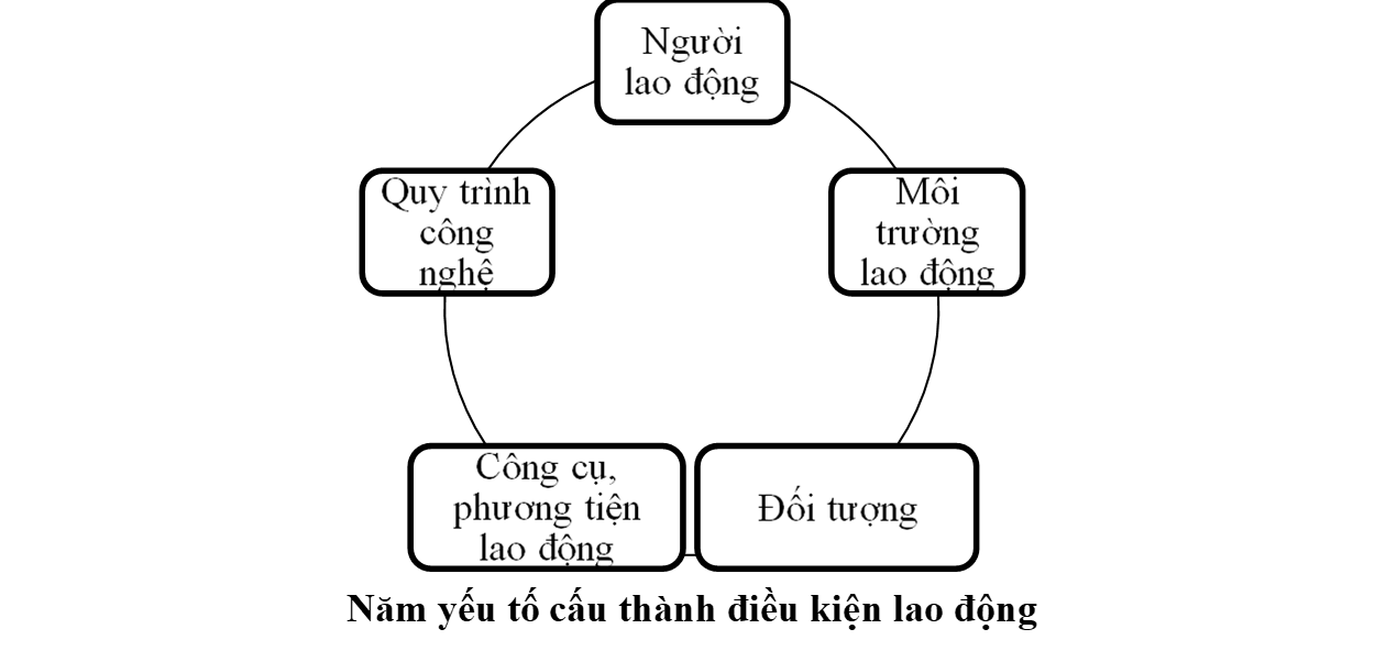 Năm yếu tố cấu thành điều kiện lao động