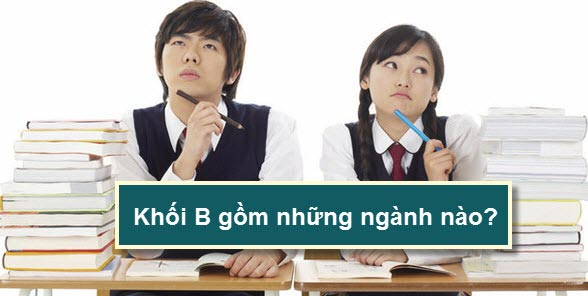 Minh họa cho khối b gồm những môn nào và ngành nào