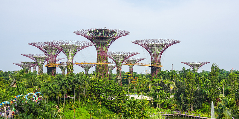 Những hàng cây khổng lồ là một phần “đặc sản” của Gardens by The Bay.