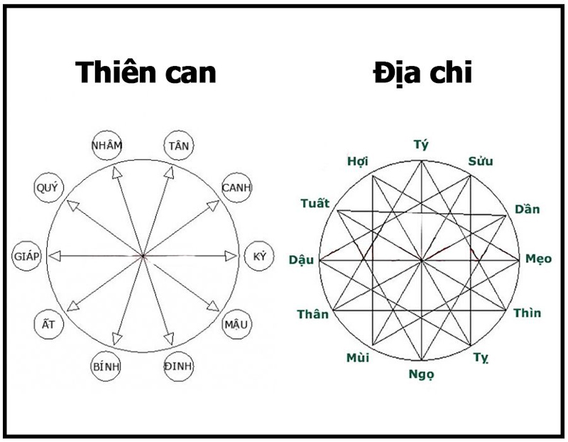 Can Chi hay được gọi đầy đủ là Thiên Can Địa Chi