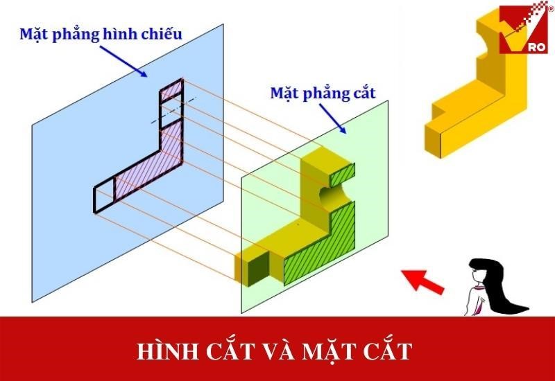 hình cắt và mặt cắt