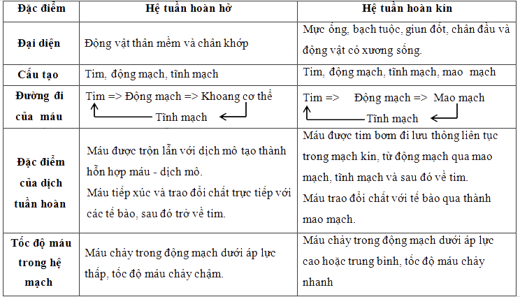 Bảng so sánh hệ tuần hoàn kín và hệ tuần hoàn hở - tuần hoàn máu sinh 11