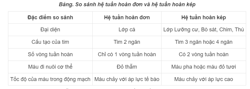 Bảng so sánh hệ tuần hoàn đơn và hệ tuần hoàn kép - tuần hoàn máu sinh 11 bài tập