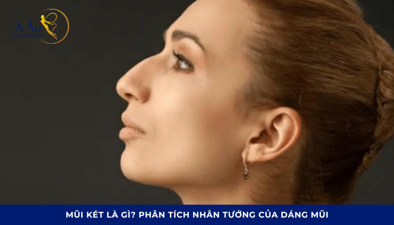 Mũi két là gì? Phân tích nhân tướng của dáng mũi