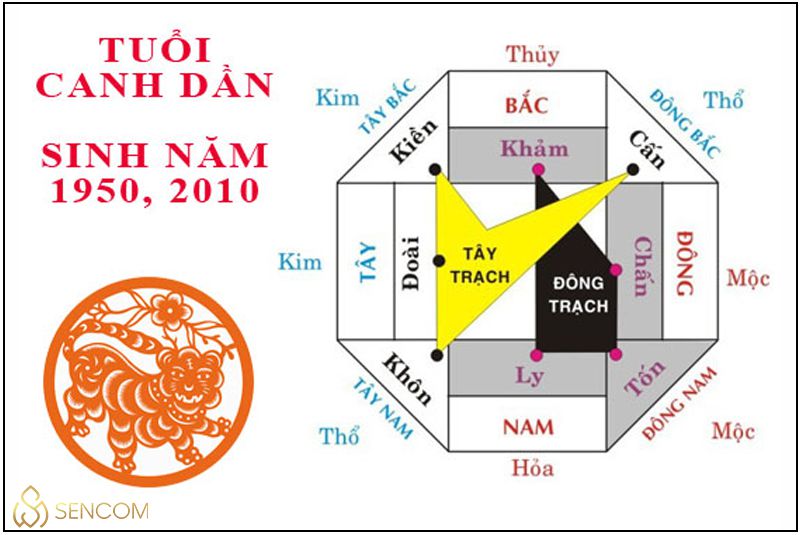 Để giải đáp thắc mắc sinh năm 2010 mệnh gì , tuổi gì, hợp màu nào, tử vi người sinh năm 2010 ra sao? Hãy cùng Sencom tham khảo những thông tin hữu ích trong...