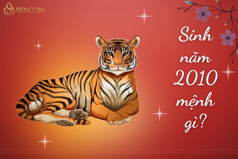 Để giải đáp thắc mắc sinh năm 2010 mệnh gì , tuổi gì, hợp màu nào, tử vi người sinh năm 2010 ra sao? Hãy cùng Sencom tham khảo những thông tin hữu ích trong...