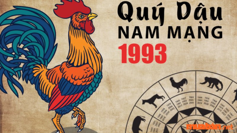 Nam 1993 nên lấy vợ tuổi nào hợp