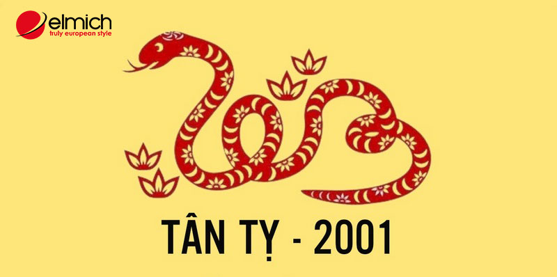 Hình 1: Tìm hiểu một số thông tin về tuổi Tân Tỵ 2001