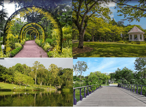 Du lịch Singapore đi đâu, chơi gì? Địa điểm du lịch nổi tiếng ở Singapore. Vườn bách thảo Singapore Botanic Gardens