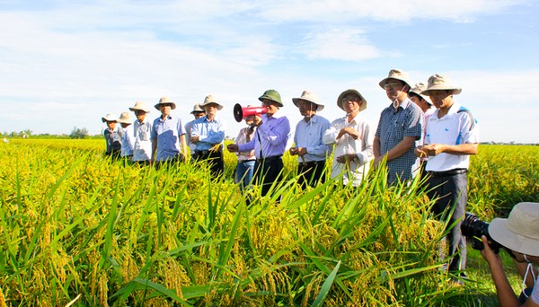 nông nghiệp gồm những lĩnh vực nào