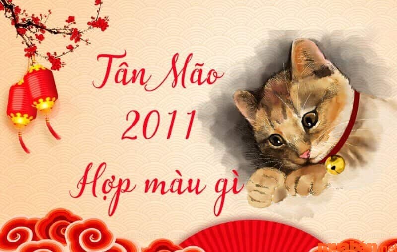 Tìm hiểu về màu hợp, kỵ tuổi Tân Mão bạn phải biết rõ 2011 mệnh gì trước