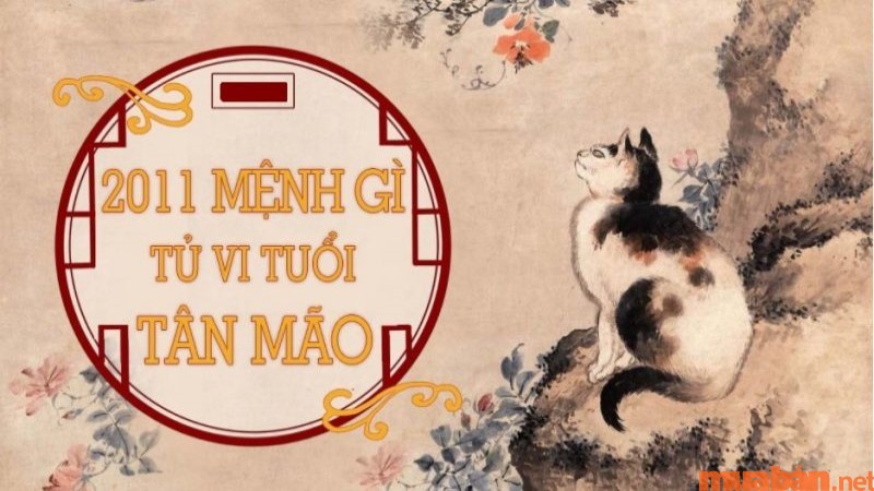 Năm 2011 mệnh gì, cùng khám phá tất tần tật về tuổi Tân Mão