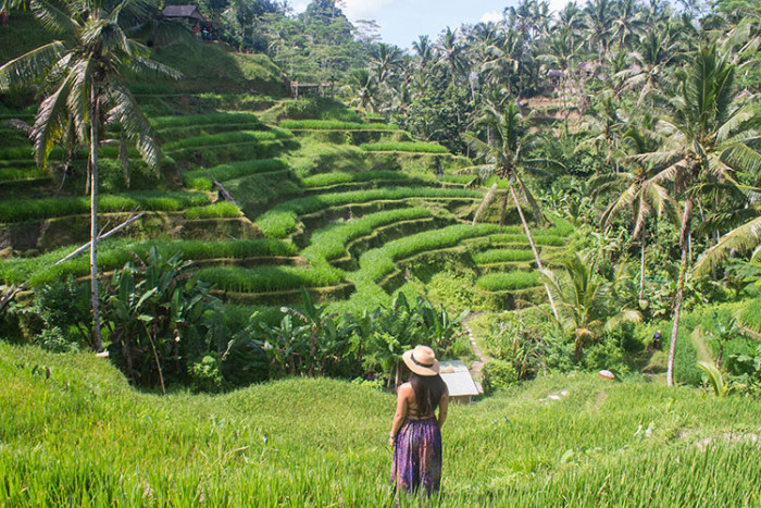 thị trấn ubud