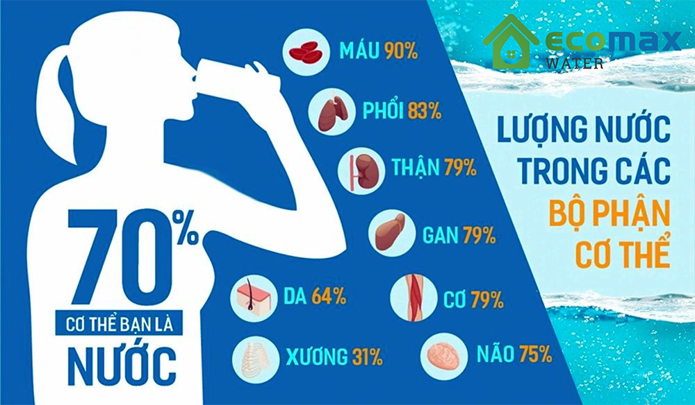 Tầm quan trọng của H2O trong cuộc sống