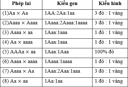 Thông tin về Gen Quy định Quả Đỏ ở Cà Chua