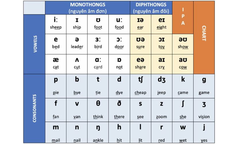 Học phiên âm tiếng anh bằng bảng phiên âm IPA