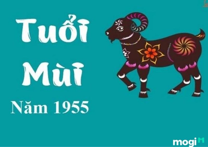 Sinh năm 1955 tuổi gì?